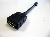 Adapter Displayport (w) > Mini-Displayport (m)